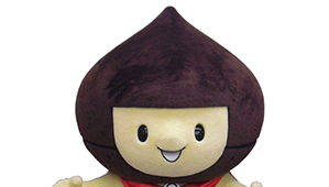 kurio3