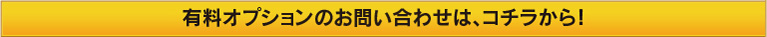 オプションのお問い合わせ