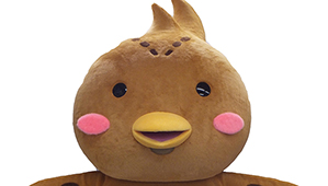 kicchou-299