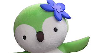 sumire-299